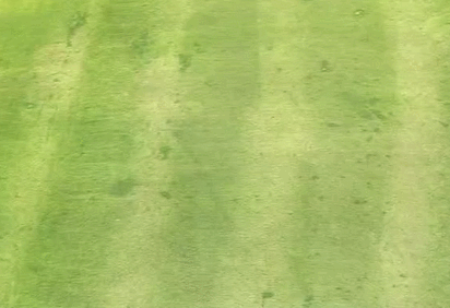 染色失败.gif