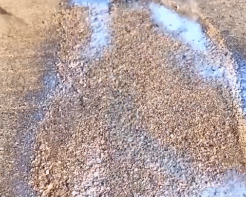 密封固化.gif