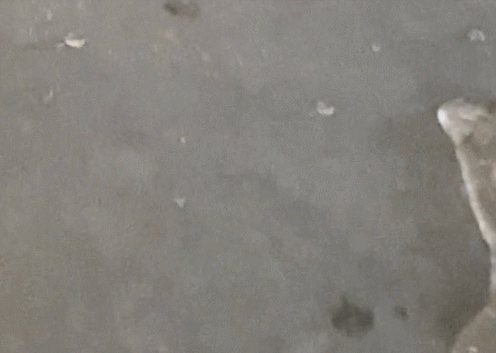 水凝结成珠.gif