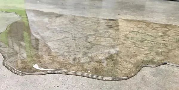 地面浸水.jpg